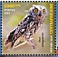 African Scops Owl Otus senegalensis