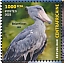 Shoebill Balaeniceps rex  2023 Biodiversity, birds Sheet