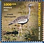 Black-bellied Bustard  Lissotis melanogaster