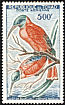 Northern Carmine Bee-eater Merops nubicus  1961 Birds 