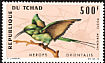 African Green Bee-eater Merops viridissimus  1966 Birds 