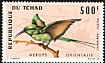 African Green Bee-eater Merops viridissimus