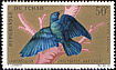 Greater Blue-eared Starling Lamprotornis chalybaeus  1967 Birds 