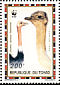 Common Ostrich Struthio camelus  1996 WWF Sheet