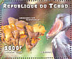 Shoebill Balaeniceps rex  1998 Mushrooms  MS