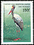 Saddle-billed Stork Ephippiorhynchus senegalensis