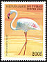 Greater Flamingo Phoenicopterus roseus  1999 African birds 