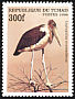 Marabou Stork Leptoptilos crumenifer  1999 African birds 