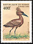 Hamerkop Scopus umbretta  1999 African birds 