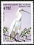 African Spoonbill Platalea alba  1999 African birds 