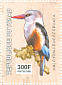 Grey-headed Kingfisher Halcyon leucocephala