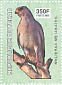 Dark Chanting Goshawk Melierax metabates  2003 Birds of prey Sheet