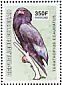 Bateleur Terathopius ecaudatus  2003 Birds of prey Sheet