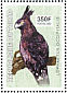 Long-crested Eagle Lophaetus occipitalis  2003 Birds of prey Sheet
