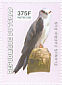 Black-winged Kite Elanus caeruleus