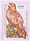 Yellow-billed Kite Milvus aegyptius