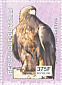 Golden Eagle Aquila chrysaetos  2003 Birds of prey Sheet
