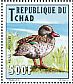 Cape Teal Anas capensis  2012 Birds Sheet