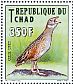 Corn Crake Crex crex