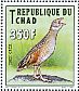 Corn Crake Crex crex