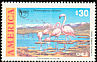 Chilean Flamingo Phoenicopterus chilensis  1990 America 2v set