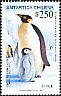 Emperor Penguin Aptenodytes forsteri  1992 Emperor Penguin p 13¼x13½