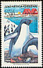 Adelie Penguin Pygoscelis adeliae