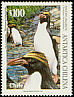 Macaroni Penguin Eudyptes chrysolophus  1995 Chilean Antarctic 