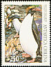 Macaroni Penguin Eudyptes chrysolophus  1995 Chilean Antarctic 