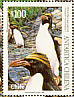 Macaroni Penguin Eudyptes chrysolophus  1995 Chilean Antarctic Sheet