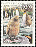 King Penguin Aptenodytes patagonicus  1996 Chilean Antarctic 