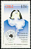 Gentoo Penguin Pygoscelis papua  1998 Antarctic research 