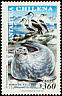 Antarctic Shag Leucocarbo bransfieldensis  1999 Chilean Antarctic 