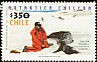 Adelie Penguin Pygoscelis adeliae