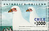 Snowy Sheathbill Chionis albus  2001 Chilean Antarctic  MS
