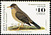 Austral Thrush Turdus falcklandii