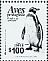 Humboldt Penguin Spheniscus humboldti  2009 Protected birds 