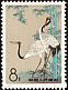 Red-crowned Crane Grus japonensis