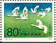 Whooper Swan Cygnus cygnus  1983 Swans Booklet