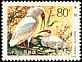 Crested Ibis Nipponia nippon  1984 Japanese Crested Ibis 