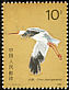 Siberian Crane Leucogeranus leucogeranus