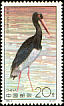 Black Stork Ciconia nigra