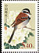 Tibetan Bunting Emberiza koslowi