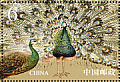 Green Peafowl Pavo muticus  2004 Peafowl  MS