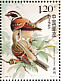 Tibetan Bunting Emberiza koslowi  2008 Birds Sheet