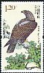 Eastern Imperial Eagle Aquila heliaca