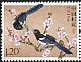 Oriental Magpie Pica serica  2017 Magpie 