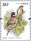 Yellow-breasted Bunting Emberiza aureola  2021 Protected wildlife 8v sheet