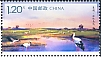 Oriental Stork Ciconia boyciana