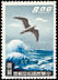 Slaty-backed Gull Larus schistisagus  1959 Air 